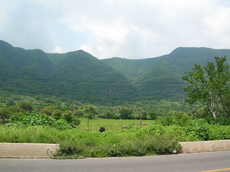 DSCN1415