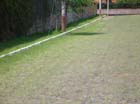 DSCN1426