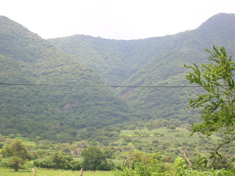 DSCN1417