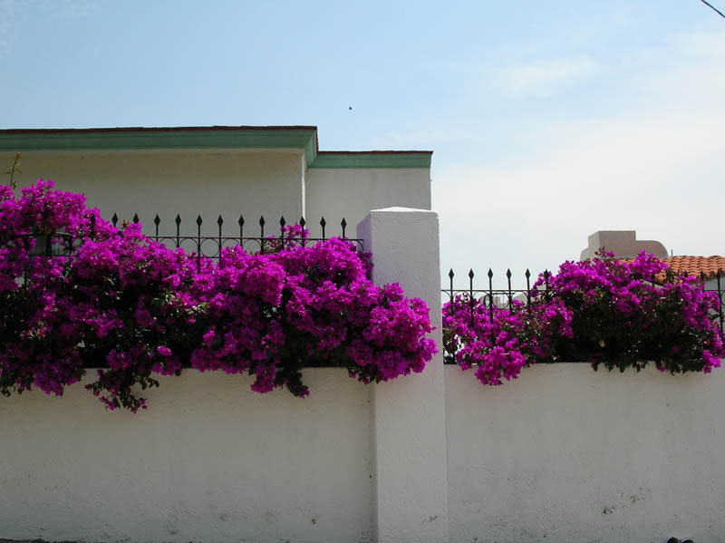 DSCN1423