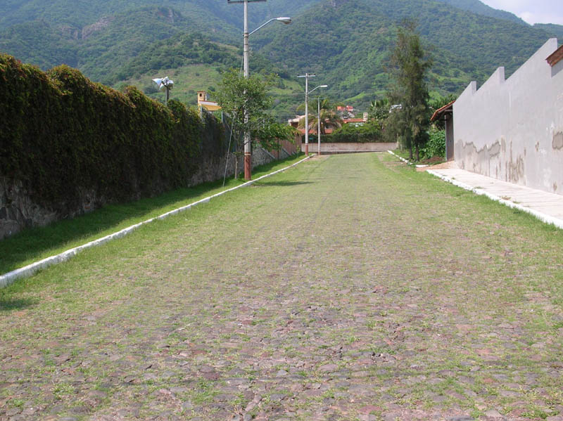 DSCN1425