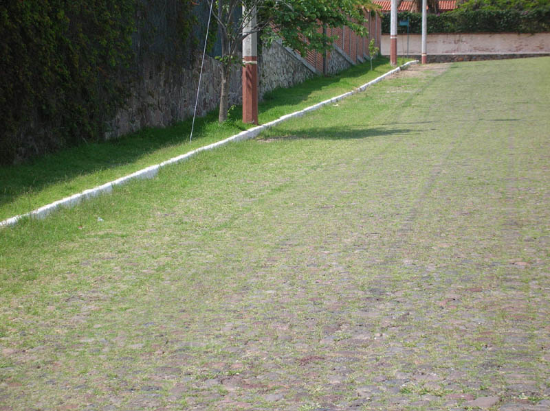 DSCN1426