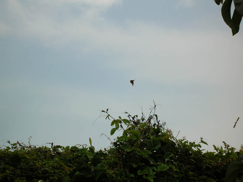 DSCN1435
